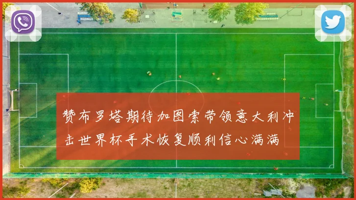 赞布罗塔期待加图索带领意大利冲击世界杯手术恢复顺利信心满满
