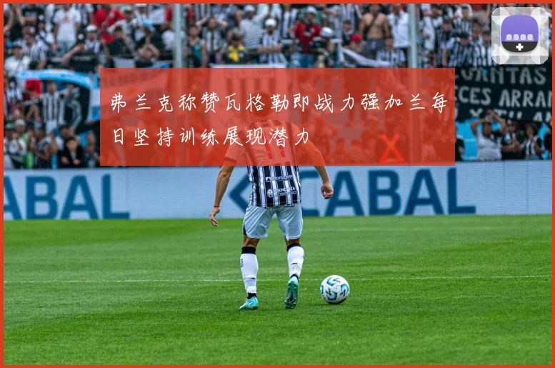 弗兰克称赞瓦格勒即战力强加兰每日坚持训练展现潜力